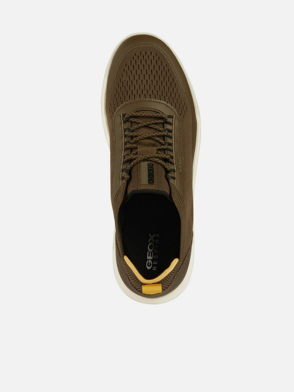 Geox Olive Herren Geox Spherica Turnschuhe