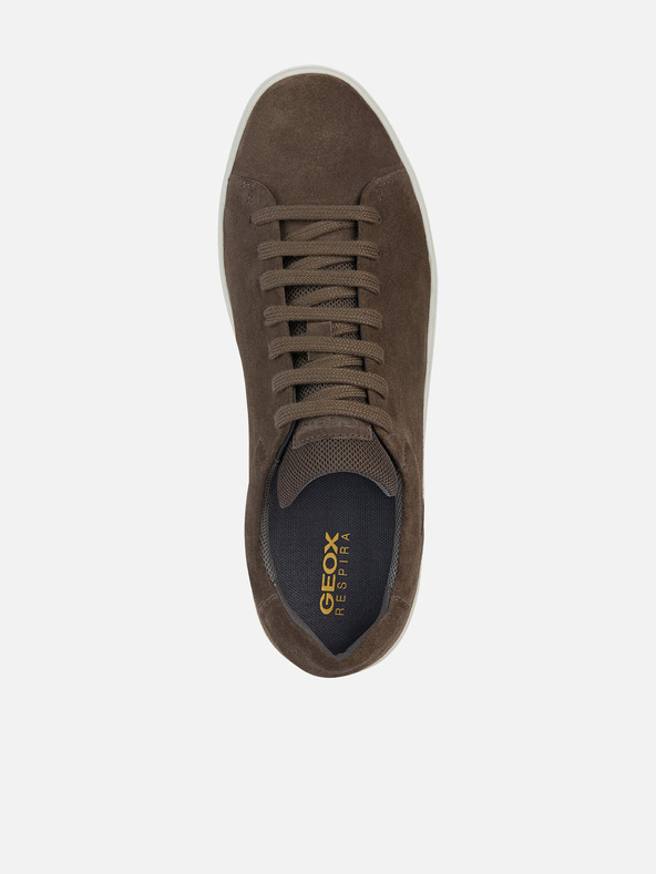 Geox Grau Herren Geox Avola Turnschuhe