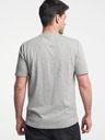 Tenson Herren TENSON Himalaya Tee M grau