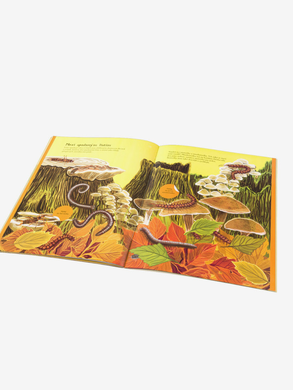 ELLA & MAX VÖGEL, MÜTTER und andere Tiere - Stickerbuch