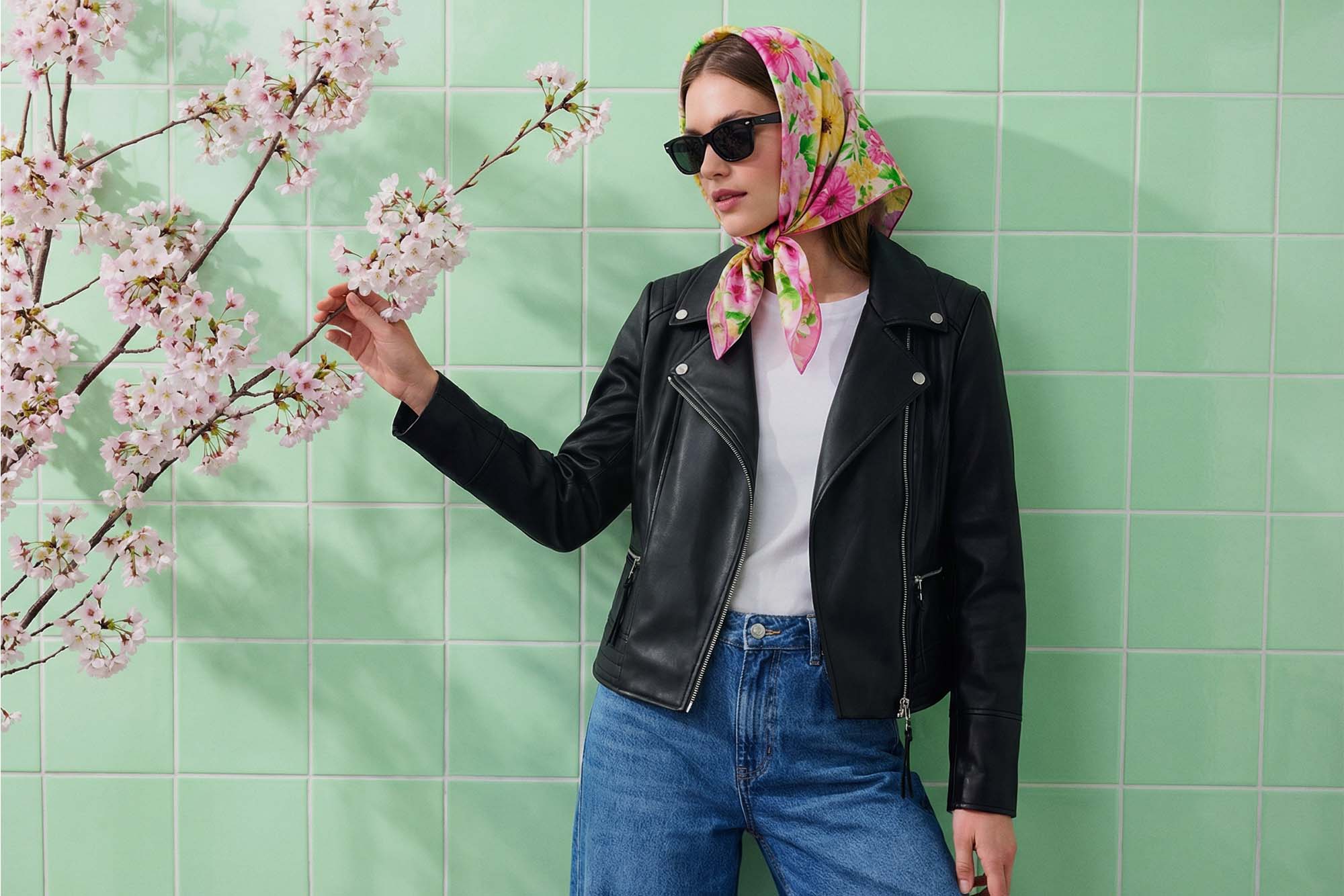 Lifestyle collection widget