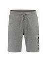 O'Neill Shorts