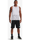 Under Armour Herren Shorts Under Armour Perimeter Short