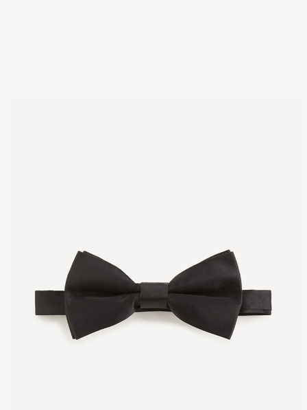 Celio Bibow2 Fliege