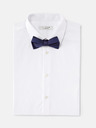 Celio Bibow2 Fliege