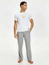 Tommy Hilfiger Sweatpants jogger GAP
