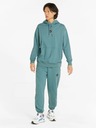 Puma Petrolfarbener Puma Go For Kapuzenpullover für Herren