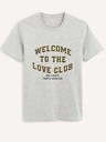 Celio Hellgraues Herren T-Shirt Celio Befisrtv