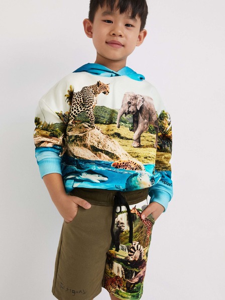 Desigual Khakifarbene Shorts für Jungen Desigual Angel