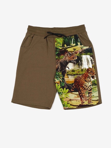 Desigual Khakifarbene Shorts für Jungen Desigual Angel