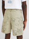 Desigual Beige Herren Desigual Fred Shorts