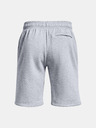 Under Armour Herren-Shorts Under Armour UA Rival Flc Graphic Short