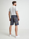 Desigual Desigual Fred Graue gemusterte Shorts für Herren