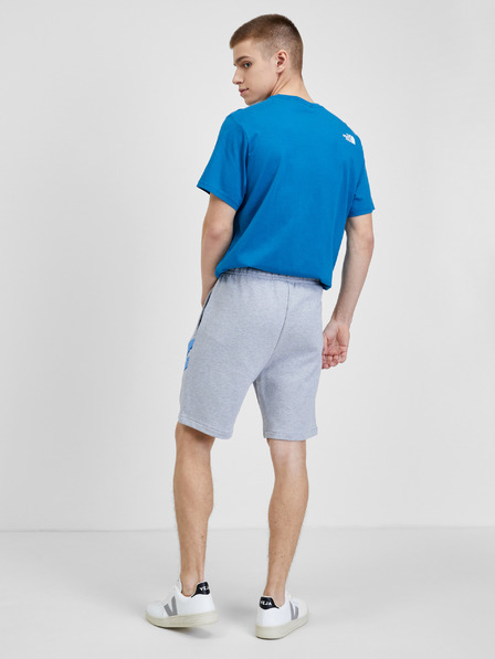 Lacoste Hellgraue Herren-Trainings-Shorts Lacoste