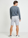 Ragwear Hellgraue Shorts für Männer Ragwear Zyan