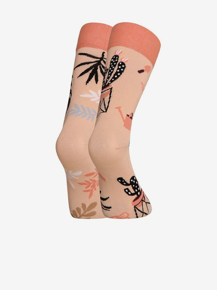 Dedoles Pokojové rostliny Socken