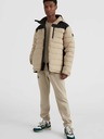 O'Neill Beige Herren O'Neill Igneous Winterjacke