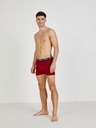 ZOOT.lab Dreier-Set Herren-Boxershorts in rot, blau und grau ZOOT.lab
