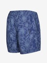 ALPINE PRO ALPINE PRO Herren-Shorts CLAIREM blau