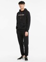 Puma Schwarzer Puma AS Graphic Hoodie für Herren