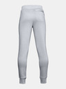Under Armour Boys' Pants Under Armour RIVAL COTTON PANTS