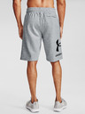 Under Armour Herren-Shorts Under Armour Rival FLC Big Logo Shorts