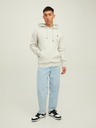 Jack & Jones Jack & Jones Star Hellgrauer karierter Kapuzenpullover