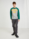 Diesel Diesel Herren Sweatshirt grün und grau gestromt