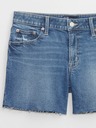 GAP Jeans Shorts Mid Rise Distresset GAP