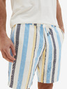 Tom Tailor Tom Tailor Herren Shorts weiß und blau gestreift