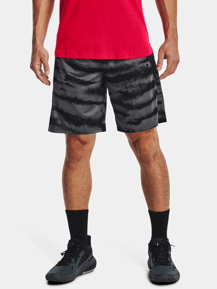 Under Armour Herren Shorts Under Armour UA BASELINE 10'' PRINT SHORT