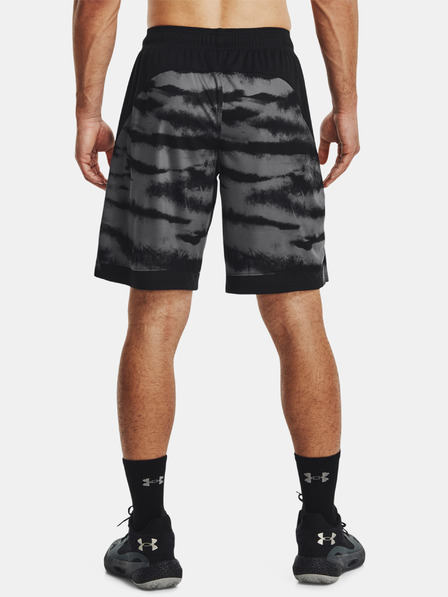 Under Armour Herren Shorts Under Armour UA BASELINE 10'' PRINT SHORT