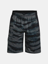 Under Armour Herren Shorts Under Armour UA BASELINE 10'' PRINT SHORT