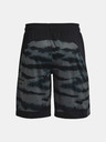 Under Armour Herren Shorts Under Armour UA BASELINE 10'' PRINT SHORT