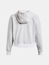Under Armour Damen Hoodie Under Armour Essential Script Hoodie