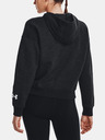 Under Armour Damen Hoodie Under Armour Essential Script Hoodie