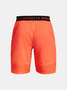 Under Armour Herren Under Armour UA Vanish Woven 8in Shorts