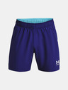 Under Armour Herren Shorts Under Armour UA Accelerate Short
