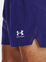 Under Armour Herren Shorts Under Armour UA Accelerate Short