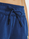 Under Armour Damen-Shorts Under Armour Pjt Rck Terry Short