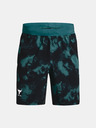 Under Armour Herren-Shorts Under Armour Pjt Rock Printed Wvn Short