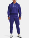 Under Armour Damen Hoodie Under Armour Essential Script Hoodie