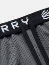 Under Armour Herren-Shorts Under Armour Curry Splash 9" Short