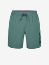O'Neill Grün Herren O'Neill All Day Badehose
