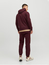 Jack & Jones Jack & Jones Josh Herren-Kapuzenpullover in Burgunderrot