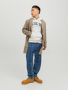 Jack & Jones Hellgrauer Herren-Kapuzenpullover Jack & Jones Josh