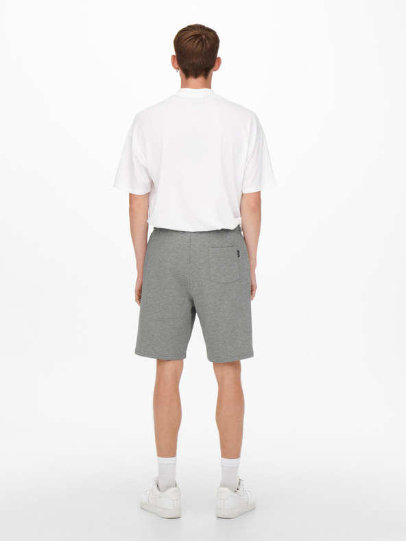 ONLY & SONS Ceres Shorts