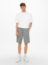 ONLY & SONS Ceres Shorts
