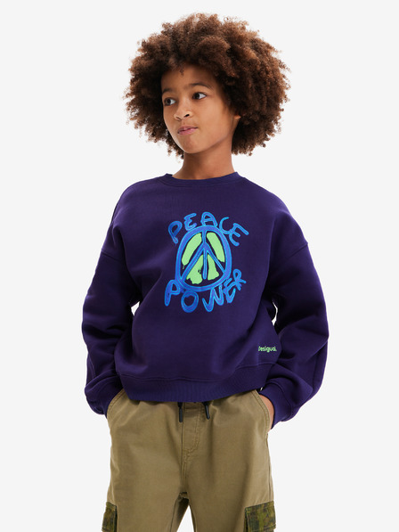Desigual Dunkelblaues Desigual Arthur Sweatshirt für Jungen