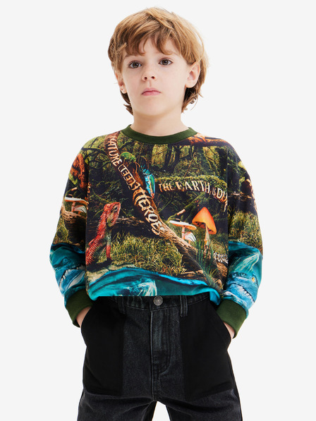 Desigual Blaues und grünes Desigual Newman Sweatshirt für Jungen